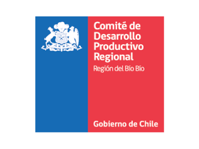 Comité de Desarrollo Productivo Regional